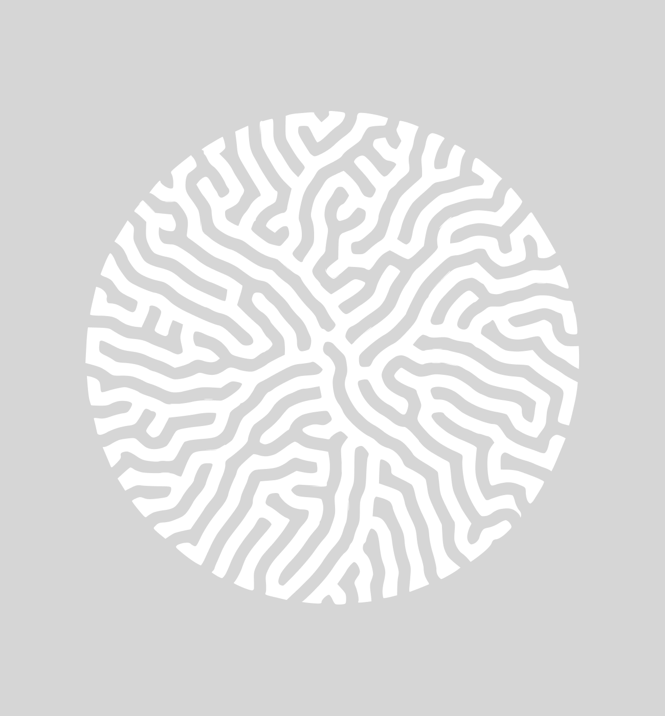 Brain Coral - Grey Melange Ladies