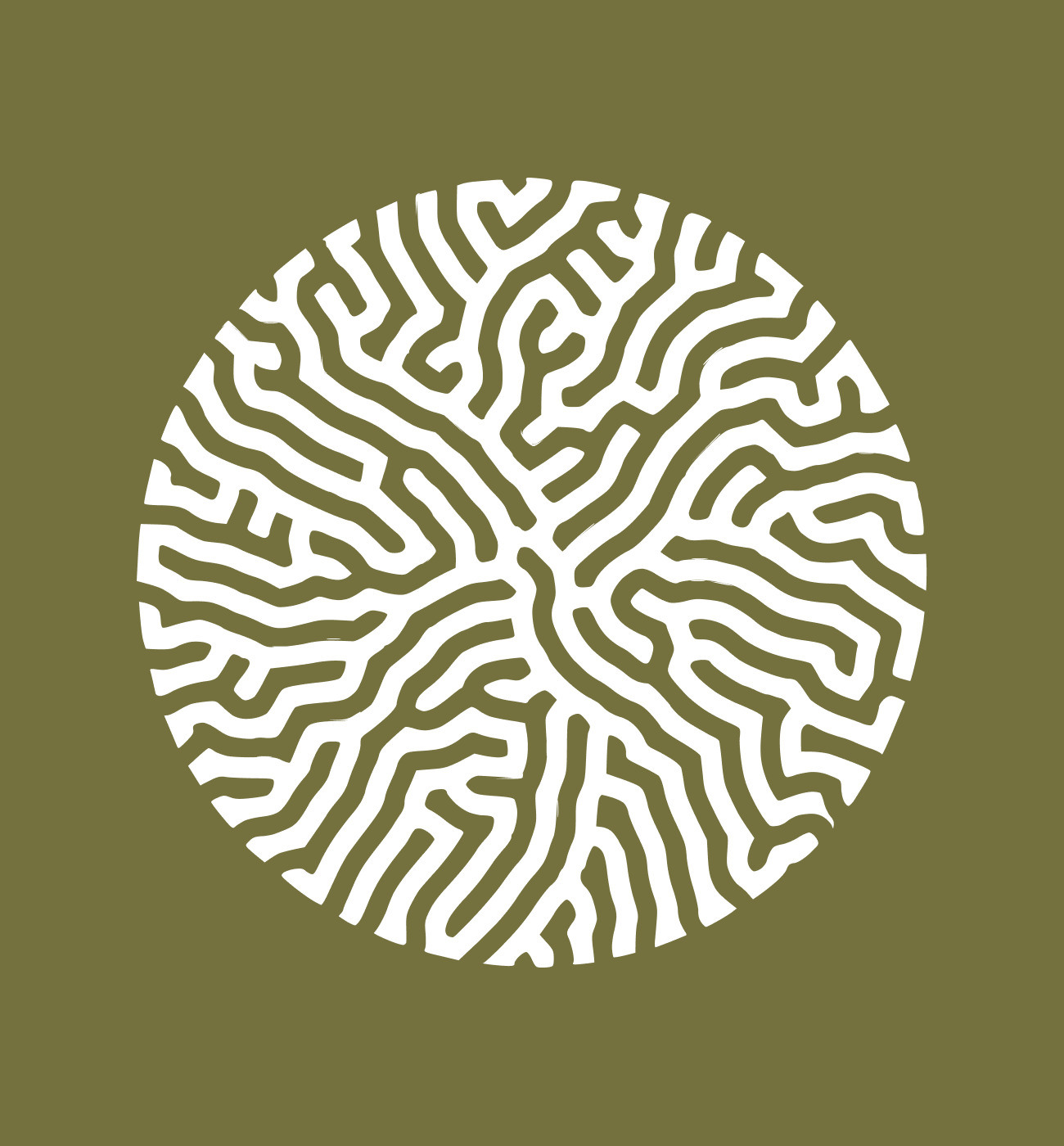 Brain Coral - Khaki Ladies