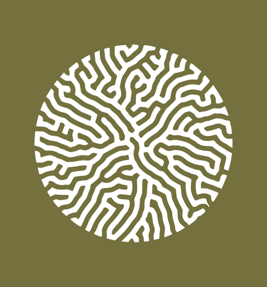 Brain Coral - Khaki Ladies