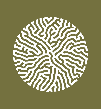 Brain Coral - Khaki Ladies